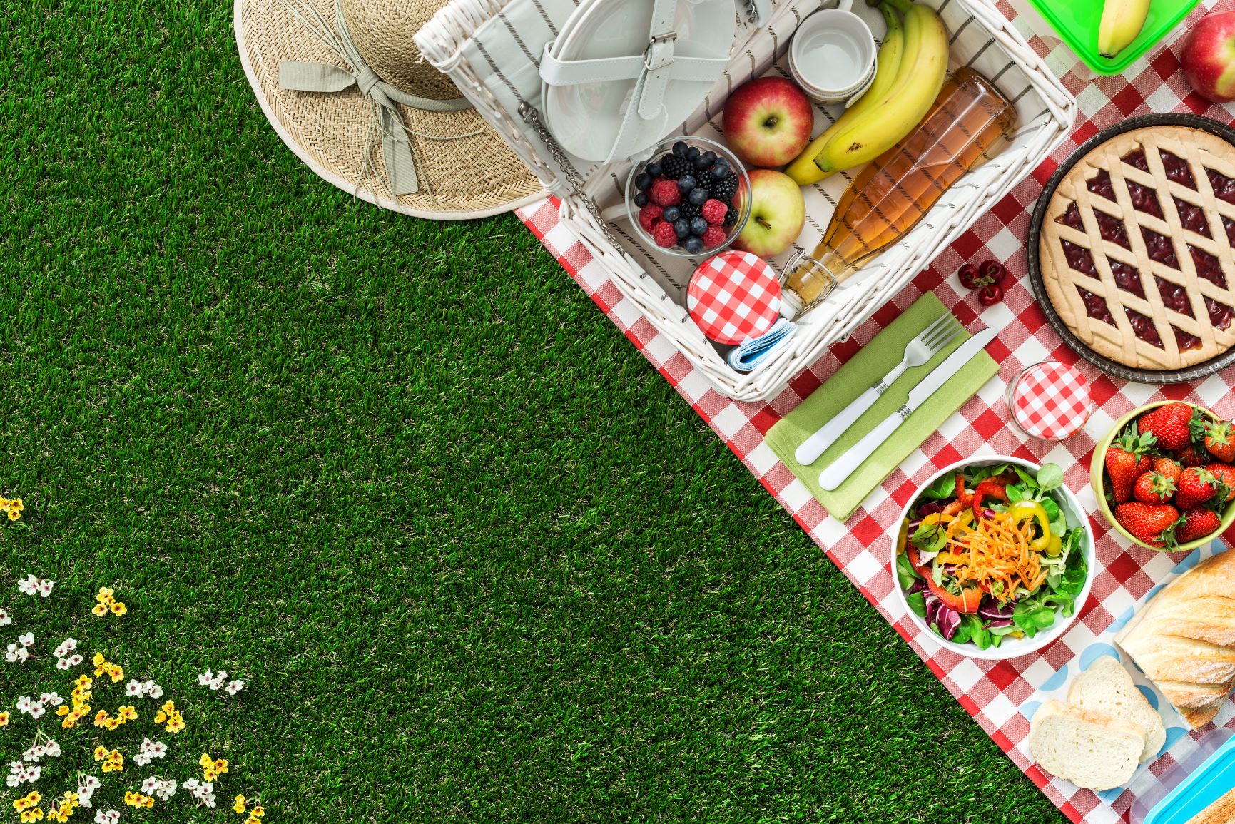 go-for-a-picnic-tips-for-enjoying-a-safe-and-healthy-food-in-the-park