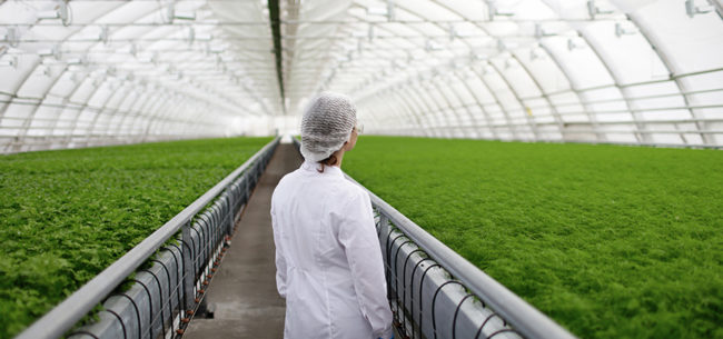 Future-Food-Safety-web2