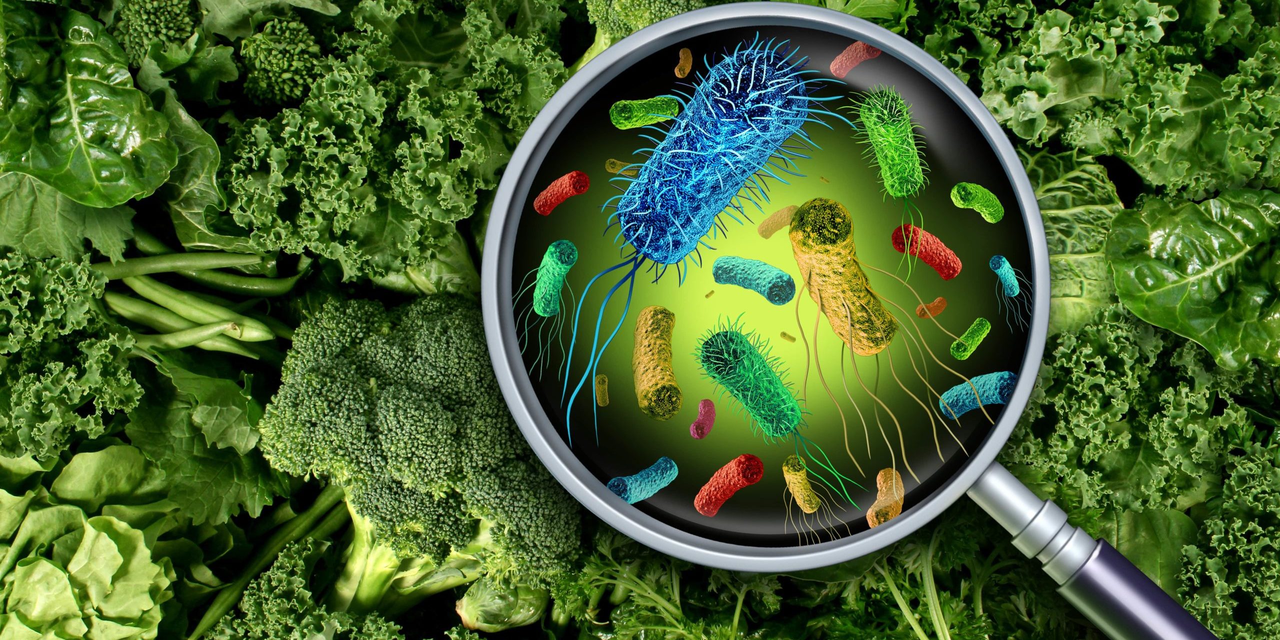 contaminacion.alimentos-scaled