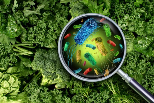 contaminacion.alimentos