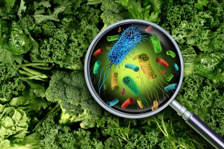 contaminacion.alimentos